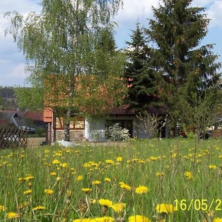 Ferienhaus Harz Βίλα Allrode Εξωτερικό φωτογραφία